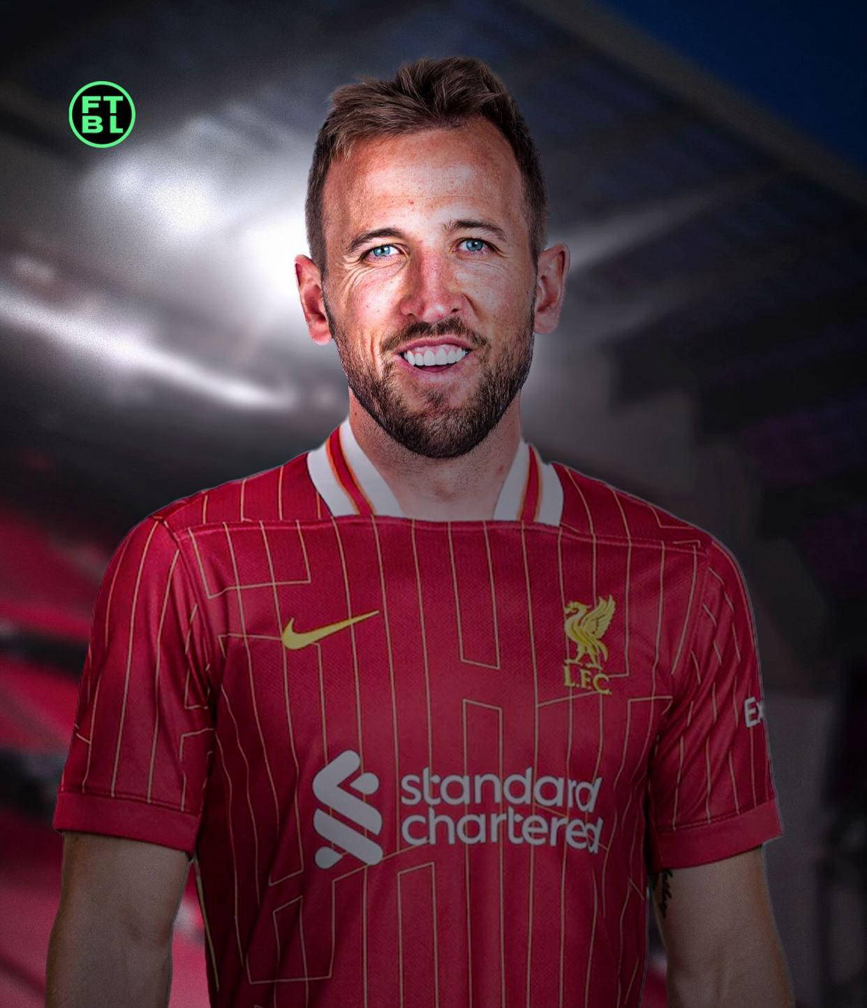 防线高度的 防线高度的