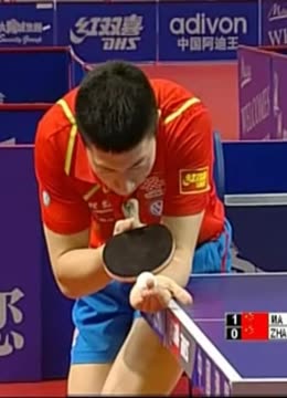 带单保赢 带单保赢